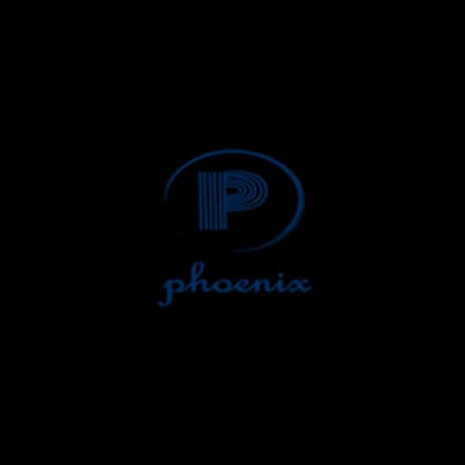 Phoenix Logistics Shenzhen Limited logo