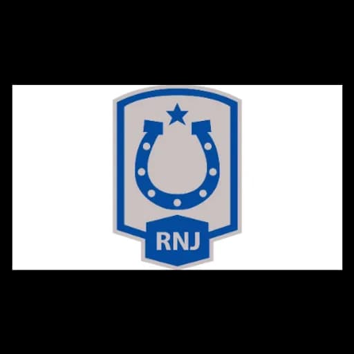 RNJ Freight INT’L Logistics INC. logo