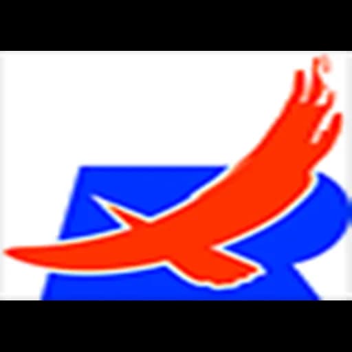 Shanghai Ruiyuan International Logistics Co. Ltd. logo