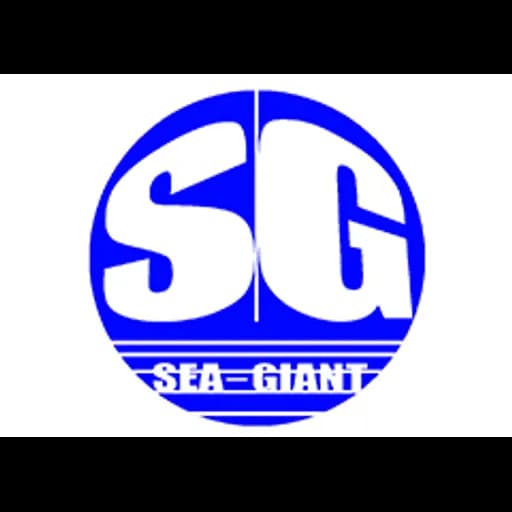 Shanghai seagiant international logistics co.,ltd. logo