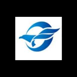 US Flying Eagle Group Corporation logo