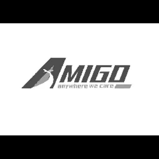 Beijing Amigo Cargo Services Ltd logo