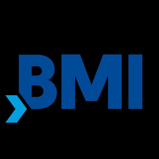 Buzmavi International Logistics (Shanghai) Co., LTD logo