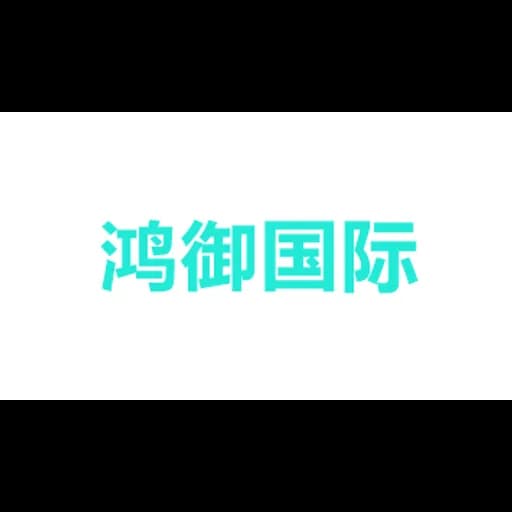 Hongyu International Logistics (Shanghai) Co.,LTD logo