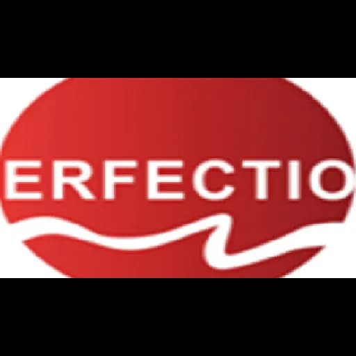 PERFECTION LOGISTICS SERVICE CO., LTD. logo