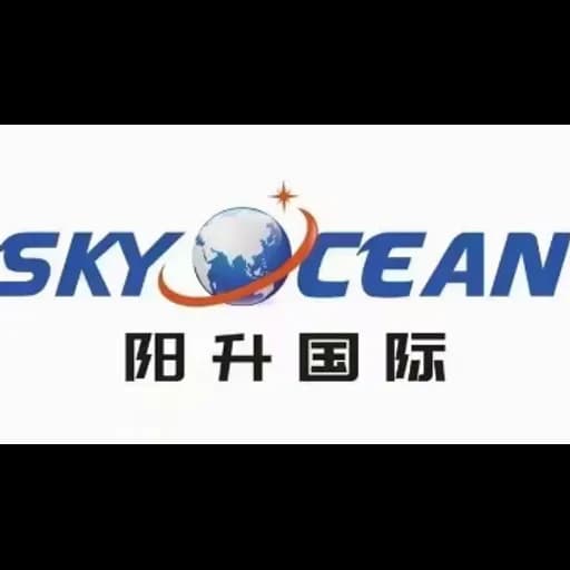 Qingdao Sky Ocean Logistics Co.,Ltd logo