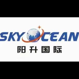 Qingdao Sky Ocean Logistics Co.,Ltd logo