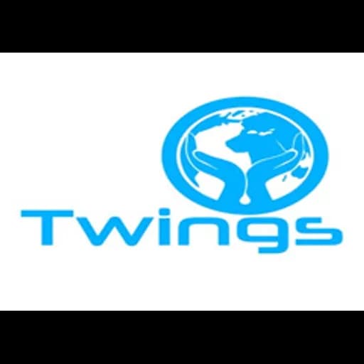 Zhejiang Twings Supply Chain Co., Ltd. logo