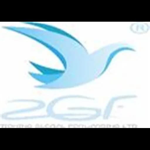 Zioning Global Forwarding Ltd logo