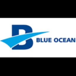BLUE OCEAN INTERNATIONAL TRANSPORTATION CO.,LTD logo