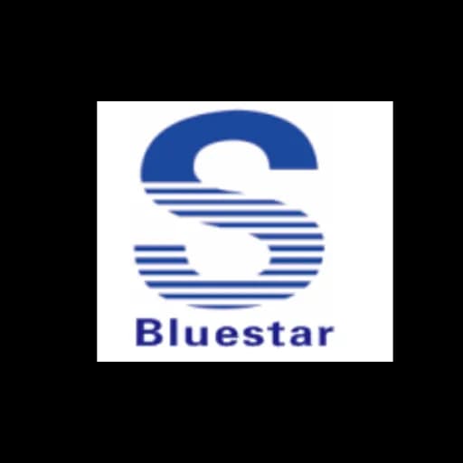 BLUE STAR(XI’AN)INTERNATIONAL LOGISTICS INC. logo