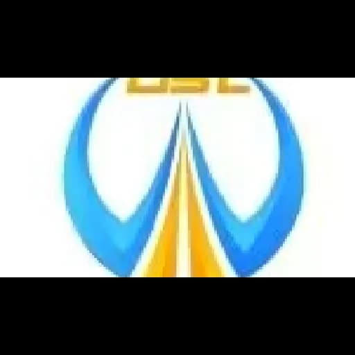 GANGSHILONG (NINGBO) LOGISTICS CO.,LTD logo