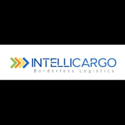 INTELLI CARGO LIMITED logo