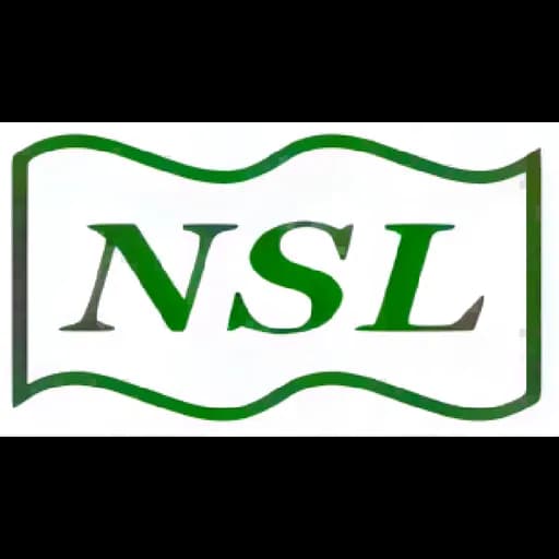 NATIONAL SHIPPING LOGISTICS LIMITED.GUANGZHOU BRANCH logo