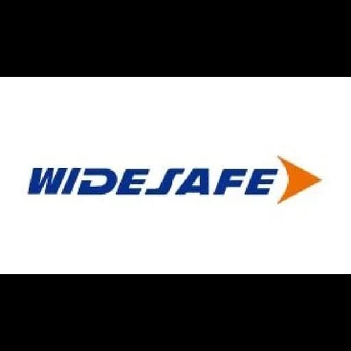 Widesafe International Logistics Ltd. logo