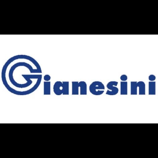 GIANESINI ERMINIO SRL logo