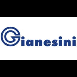 GIANESINI ERMINIO SRL logo