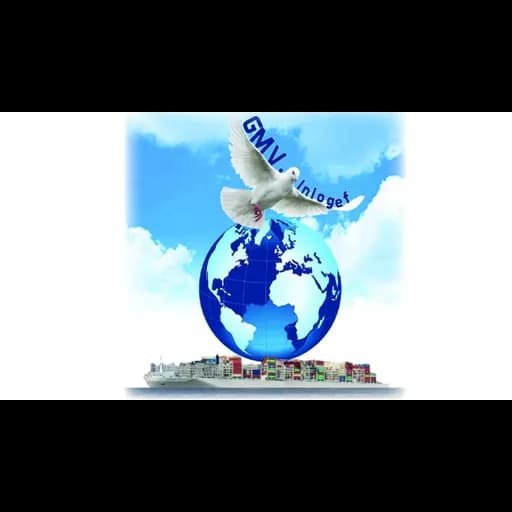 GMV INTERNATIONAL LOGISTICS EFFICIENCY logo