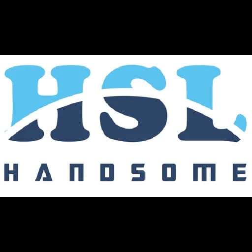 HANDSOME INTERNATIONAL LOGISTICS CO.,LTD logo