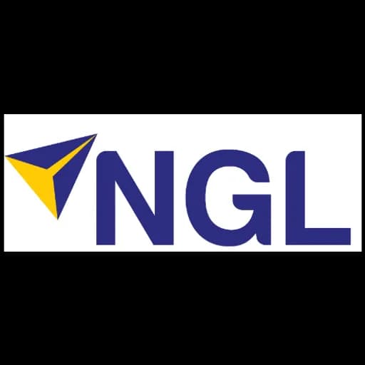 NEW GLOBE LOGISTIK LLP logo