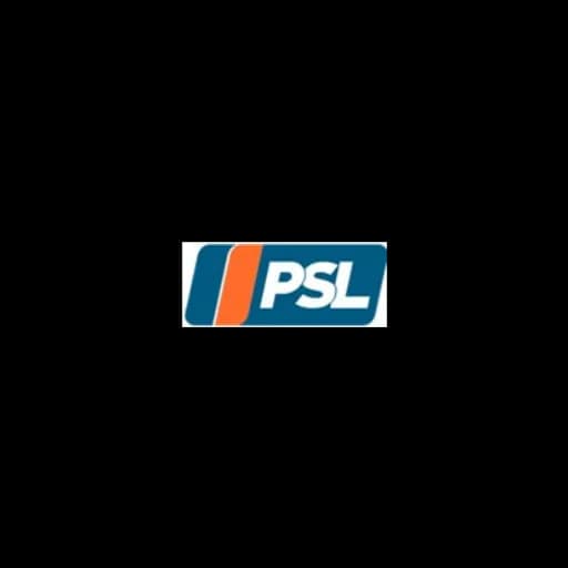 Paragon Shipping And Logistics LLC logo