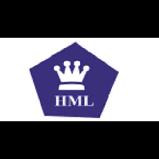 PT. HOLI MAS LOGISTIK logo