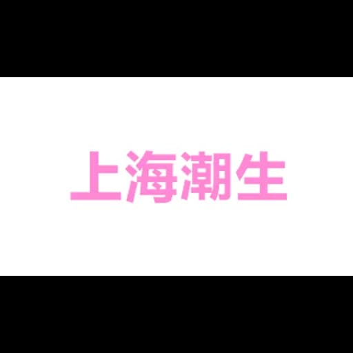 SHANGHAI CHAOSHENG INTERNATIONAL FREIGHT FORWARDING CO., LTD. logo