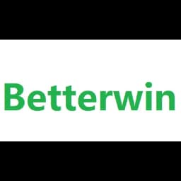 Shenzhen Betterwin Logistics INC logo