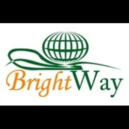 SHENZHEN BRIGHTWAY INT'l LOGISTICS CO LTD logo