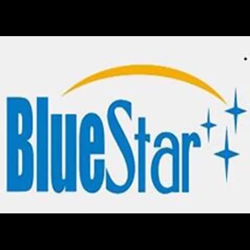 SHENZHEN BLUESTAR INTERNATIONAL TRANSPORTATION CO.,LTD logo