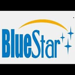SHENZHEN BLUESTAR INTERNATIONAL TRANSPORTATION CO.,LTD logo