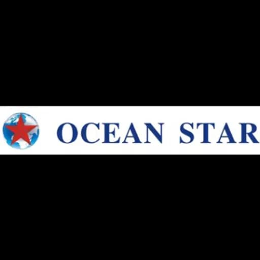 Shenzhen Ocean Star International Transportation Company logo