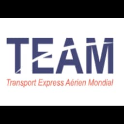TEAM INTERNATIONAL-TRANSPORT EXPRESS AERIEN MONDIAL logo