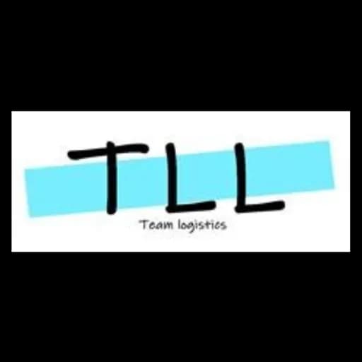 TEAM LOGISTICS L.L.C-FZ logo