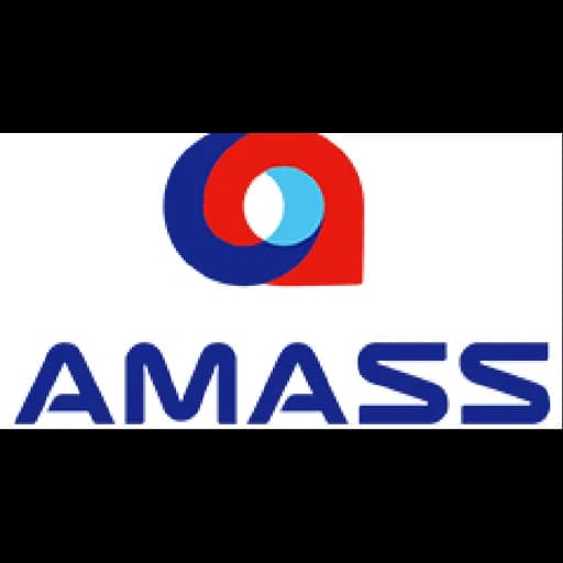 AMASS GLOBAL NETWORK GROUP CO.,LTD QINGDAO BRANCH logo