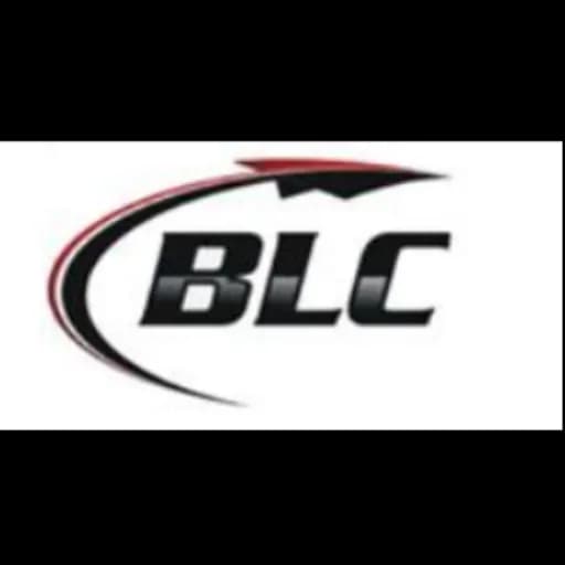 BALAJI LOGISTICS & CLEARING logo