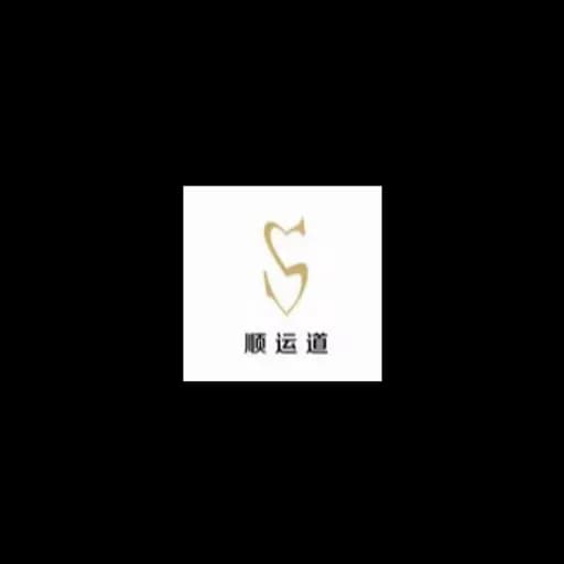NINGBO SHUNYUNDAO INTERNATIONAL LOGISTICS CO.,LTD logo