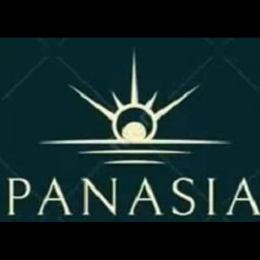 Panasia Logistics Ltd. logo