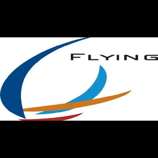 QINGDAO FLYING SPEED WORLD WIDE LOGISTICS CO.,LTD logo