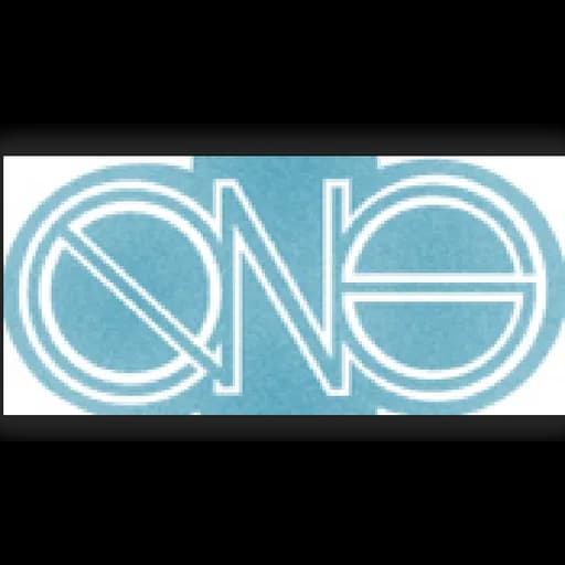 QNS GLOBAL LOGISTIC LTD logo