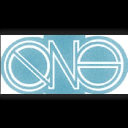 QNS GLOBAL LOGISTIC LTD logo