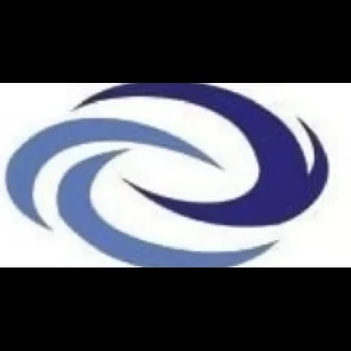 Shanghai Sino-Rise International Logistics Co.,Ltd. logo