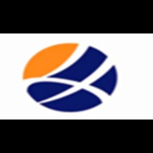 Shanghai Wellholdings International Logistics CO.,LTD logo
