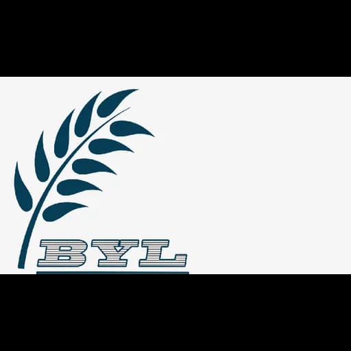 Shenzhen Pattra INTL Freight forwarding Co.LTD logo