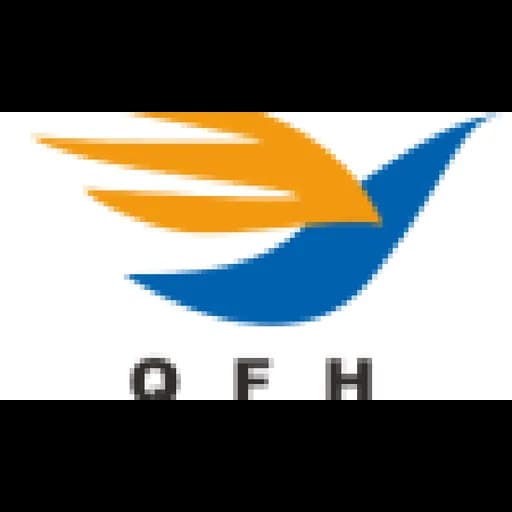 Shenzhen qifeihang International Freight Forwarding Co., Ltd logo