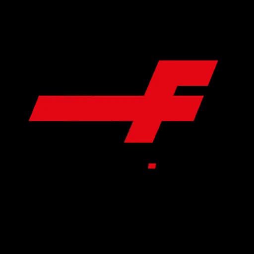 Wefreight Global Logistics (Shanghai) Limited logo