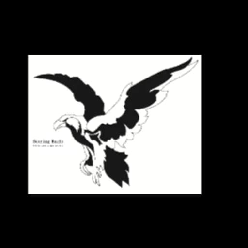 XIAMEN SOARING EAGLE SUPPLY CHAIN MANAGEMENT CO.,LTD logo