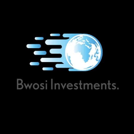 BWOSI INVESTMENTS LIMITED logo