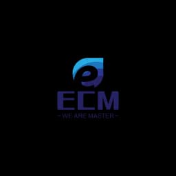 E-CARGO MASTER( SHANGHAI )SUPPLY CHAIN MANAGEMENT CO.,LTD logo