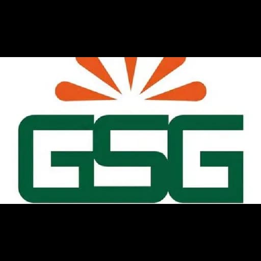 GSG LOGISTICS PVT LTD logo
